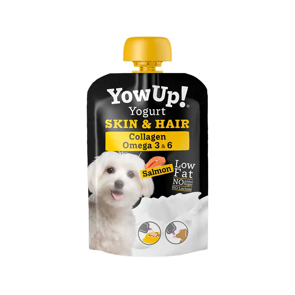 YOG0000001-1